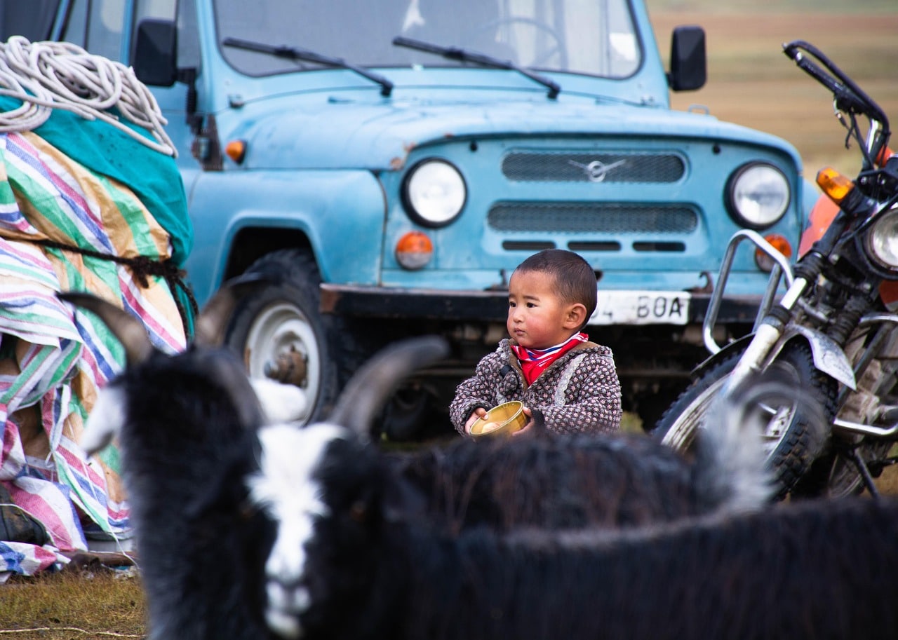 boy, header, child, mongolia-7565027.jpg
