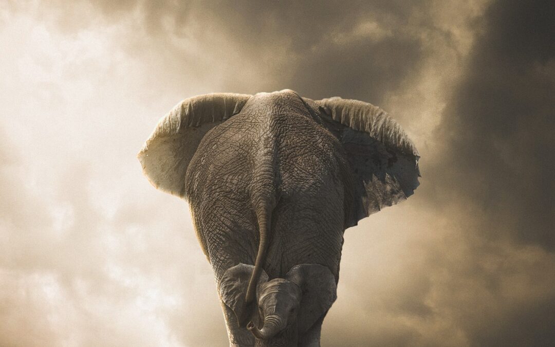 Your Epic Big Bike Touring Adventure to Doi Inthanon – Thailand’s Roof Awaits