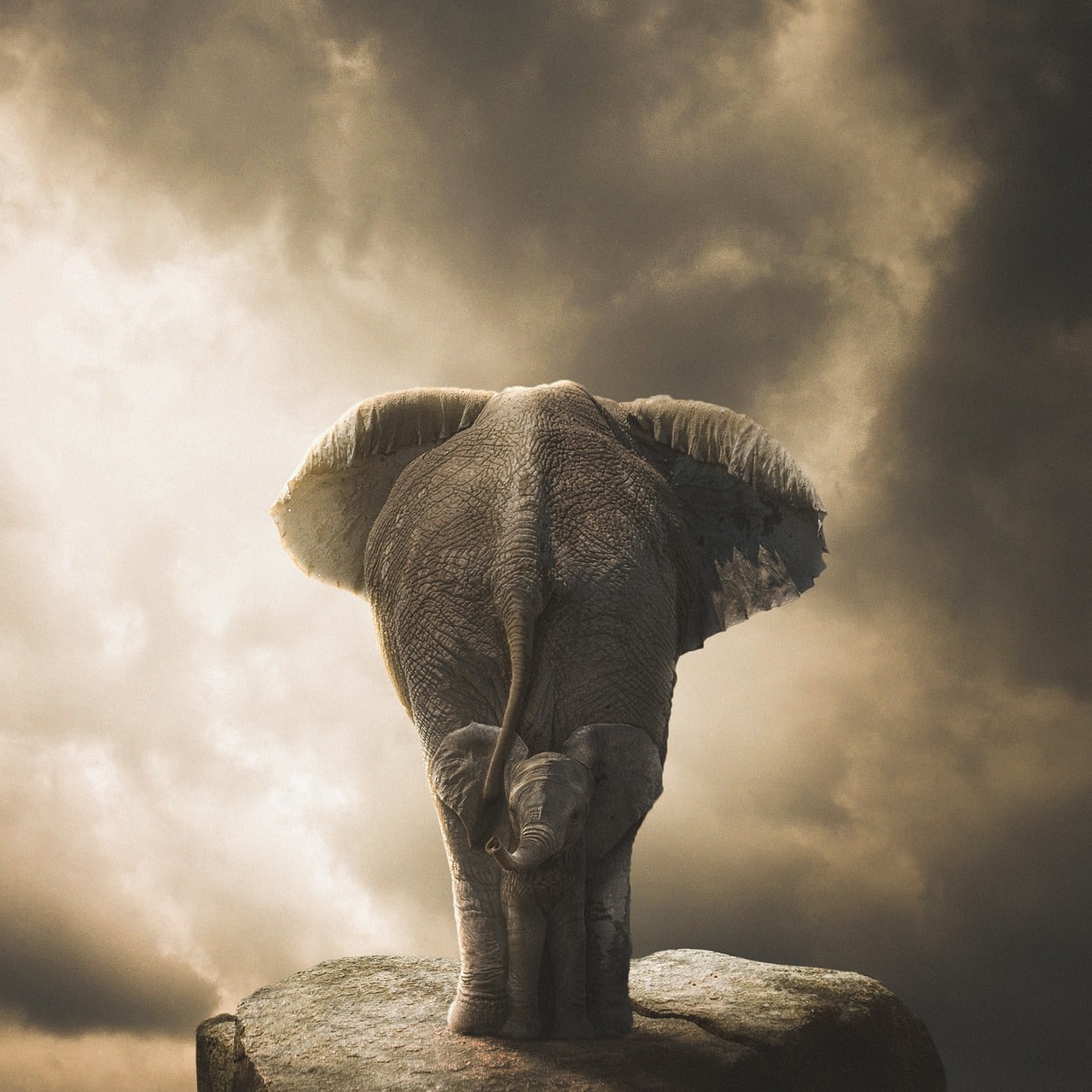 elephant, stone, rock, ganesha, nature, culture, child elephant, thailand, sky, cloud, ganesha, ganesha, ganesha, ganesha, ganesha-5373177.jpg