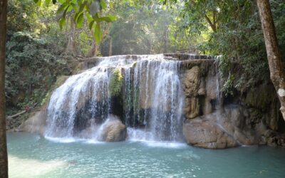 Mae Hong Son Loop: The Road of 1,864 Curves