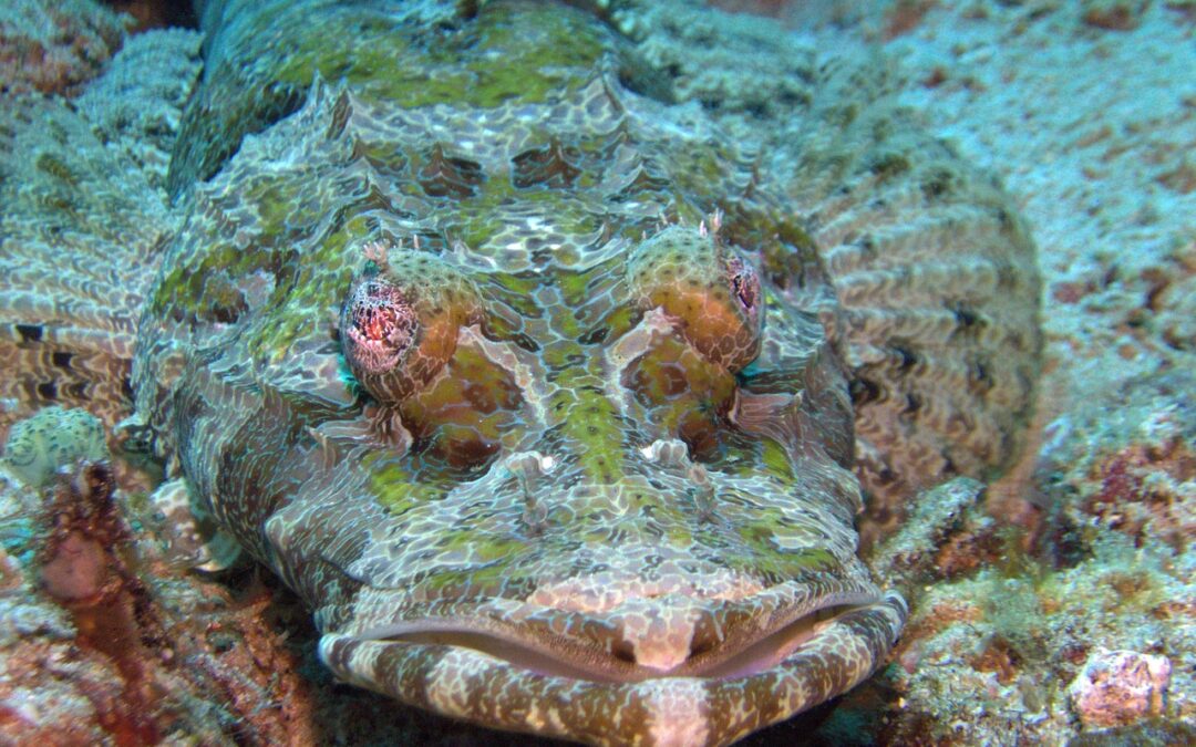 Big Bike Tours Asia Expands to the Stunning Philippines: The Ultimate Motorcycle Adventure Awaits!