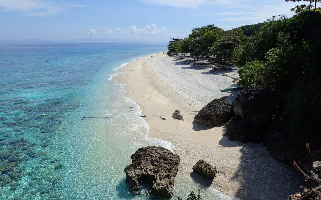 Cebu Motorcycle Routes: Oslob, Osmeña Peak, and Southern Coastal Riding