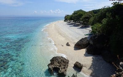 Cebu Motorcycle Routes: Oslob, Osmeña Peak, and Southern Coastal Riding