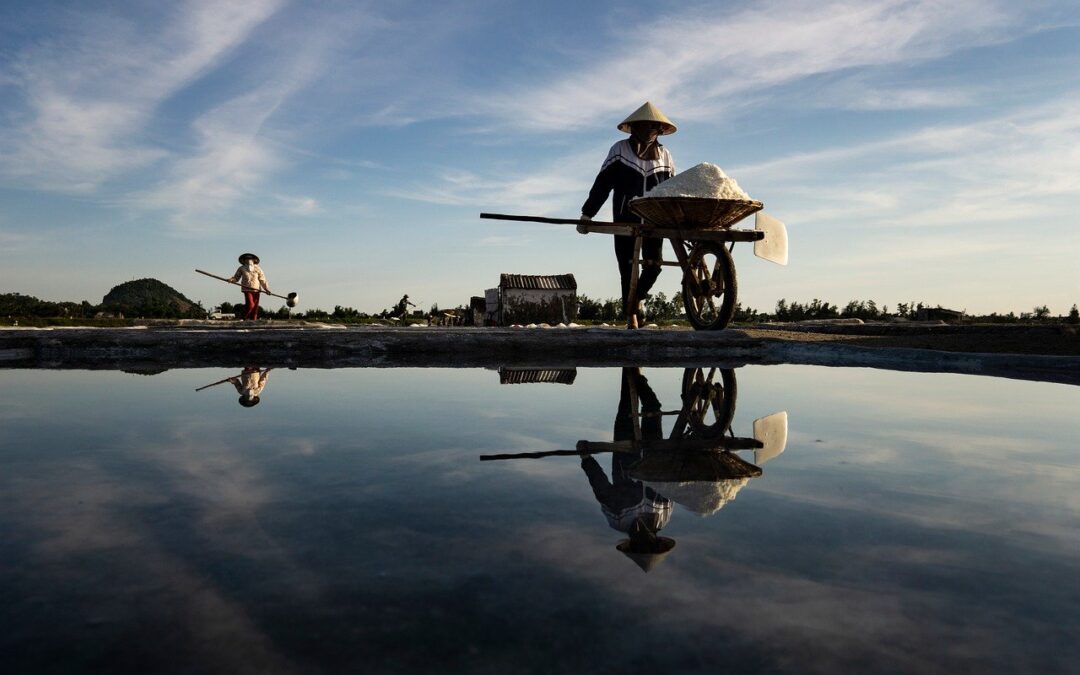 Central Vietnam by Motorcycle: Hai Van Pass, Ho Chi Minh Trail and the Central Highlands