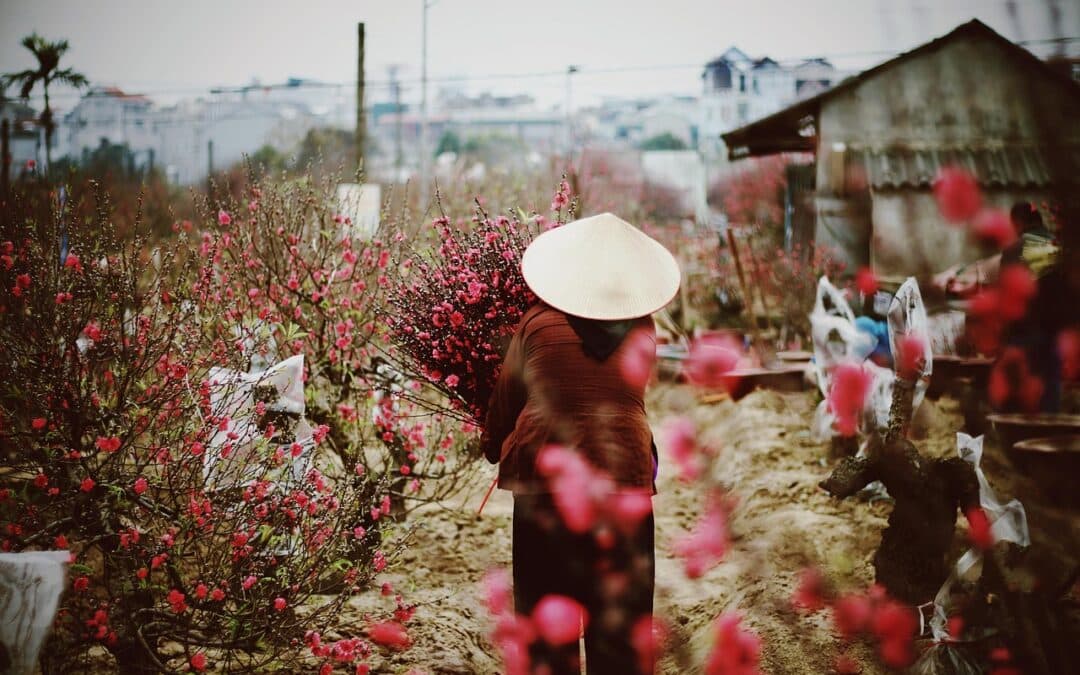 Guided vs Self-Guided Motorcycle Tours in Vietnam