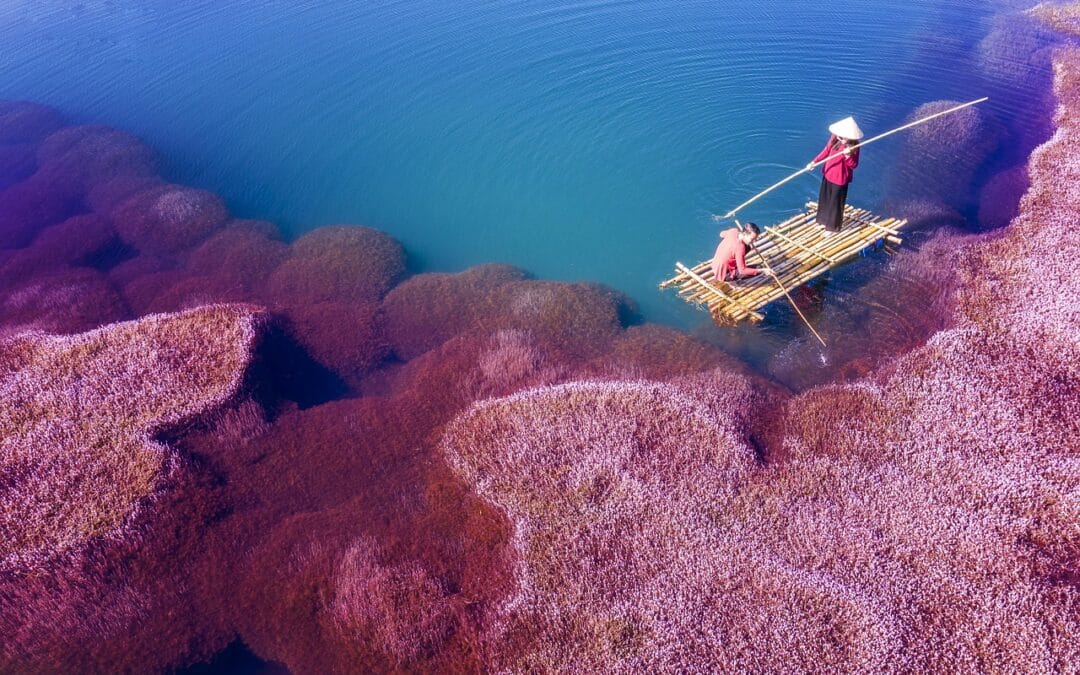 Motorcycles for Touring Vietnam: Rentals, Tour Bikes and Cross-Border Options