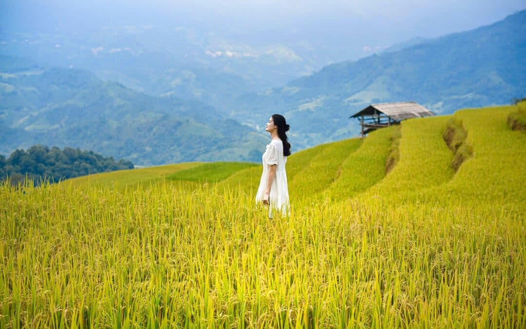 Motorcycle Touring Vietnam: The Complete Guide for Serious Riders