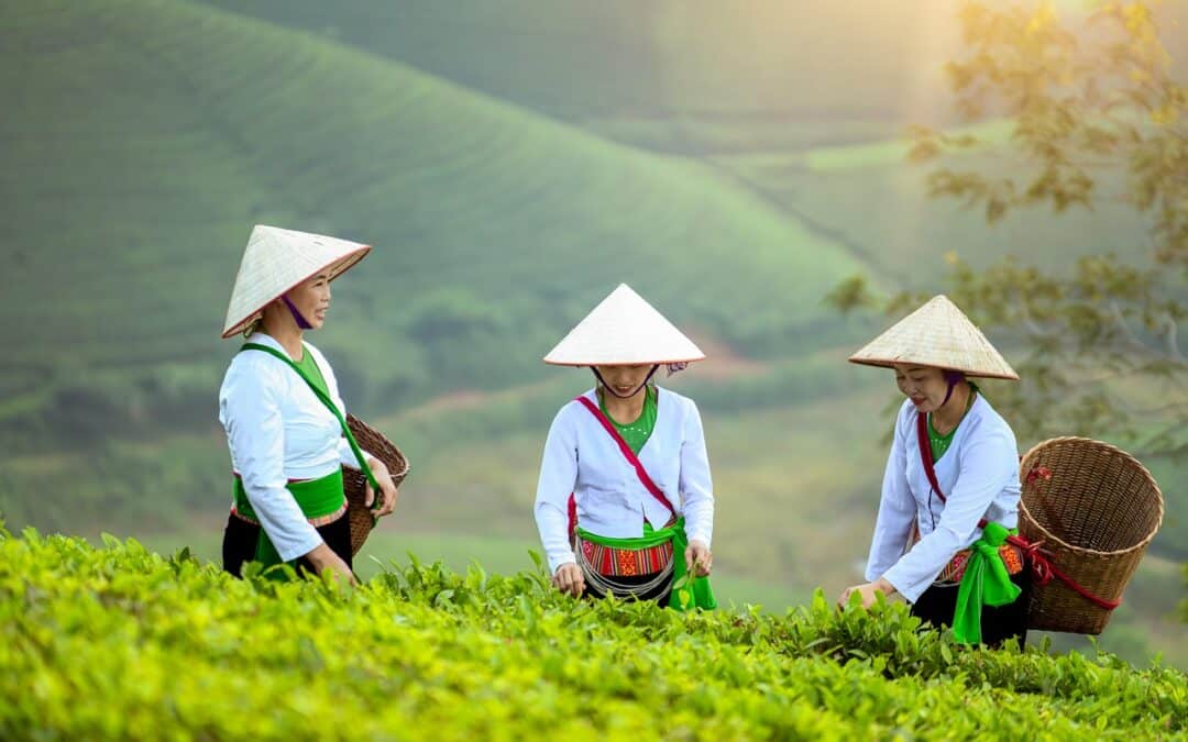 Vietnam Road Safety: What Every Touring Rider Needs to Know